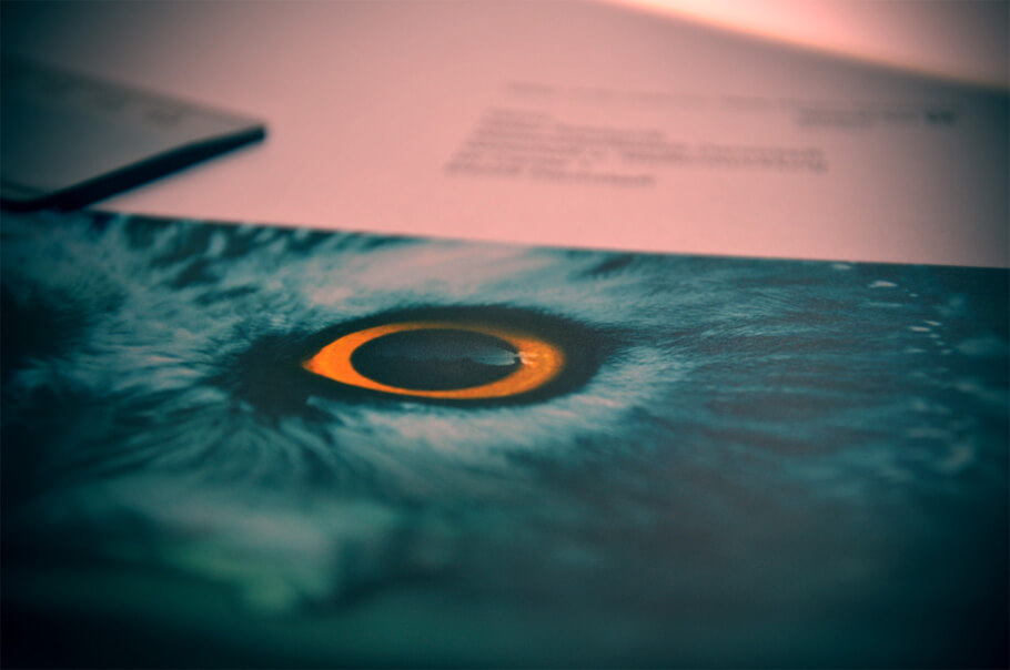 Villa Marckwardt in Lahr6